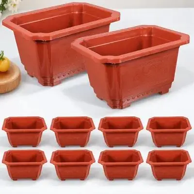

10Pcs Thickened Plastic Flower Pot Durable Bonsai Container Practical Gardening Pot for Indoor Outdoor Plants Bonsai Flowerpot