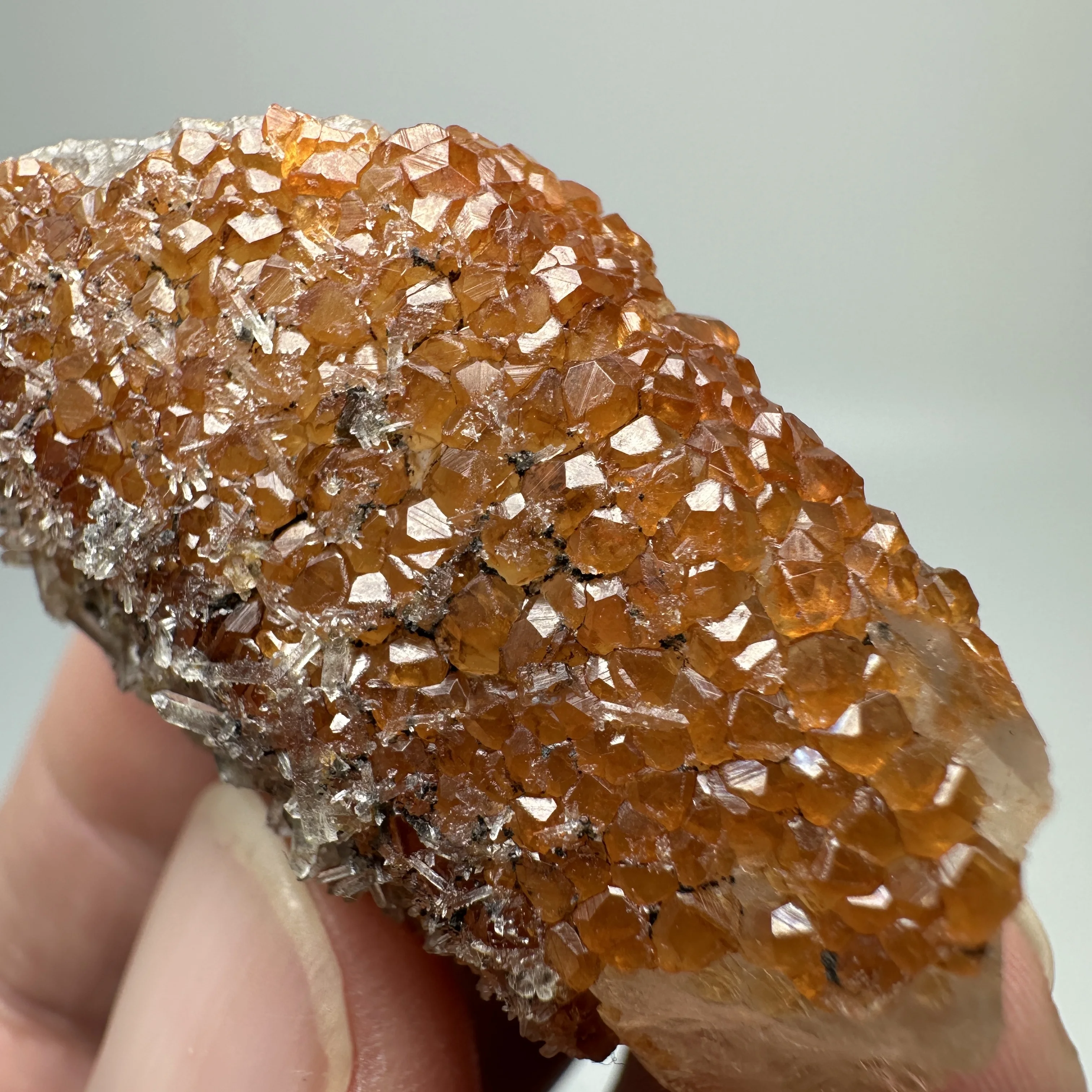 

Natural rare garnet growing on tea crystal mineral specimens + healing quartz crystals and stones rock gemstone