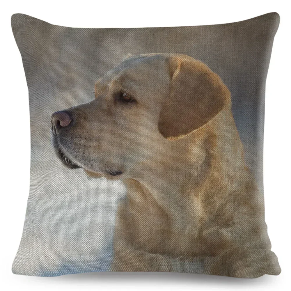 Bonita Funda De Alm… - image