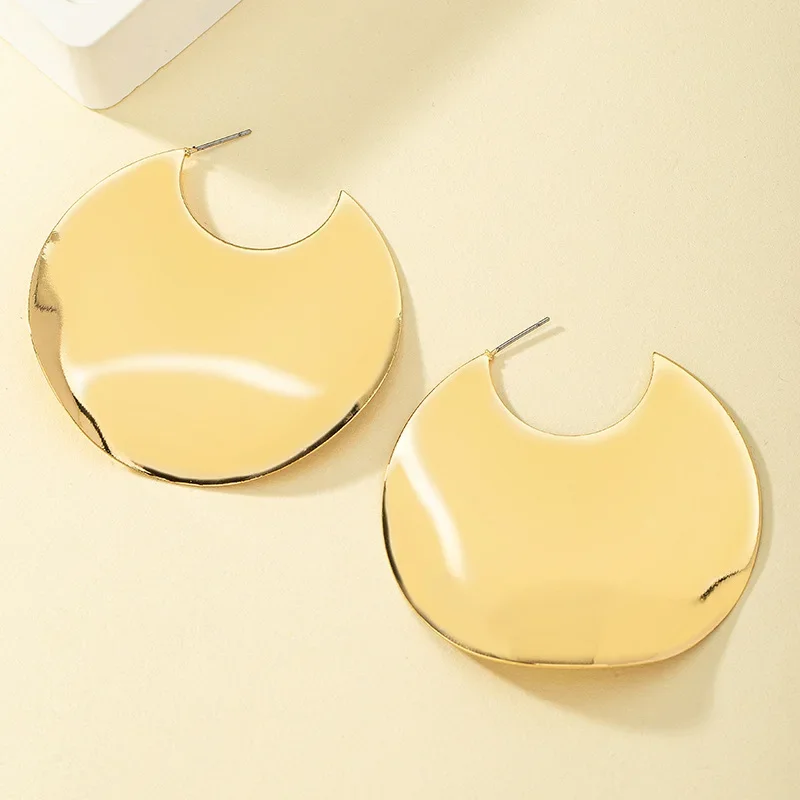 Niche Design Sense of Irregular Earrings Female Net Red Ins Cold Wind High-grade Circle Fashion Jewelry Earrings Wholesale Gift