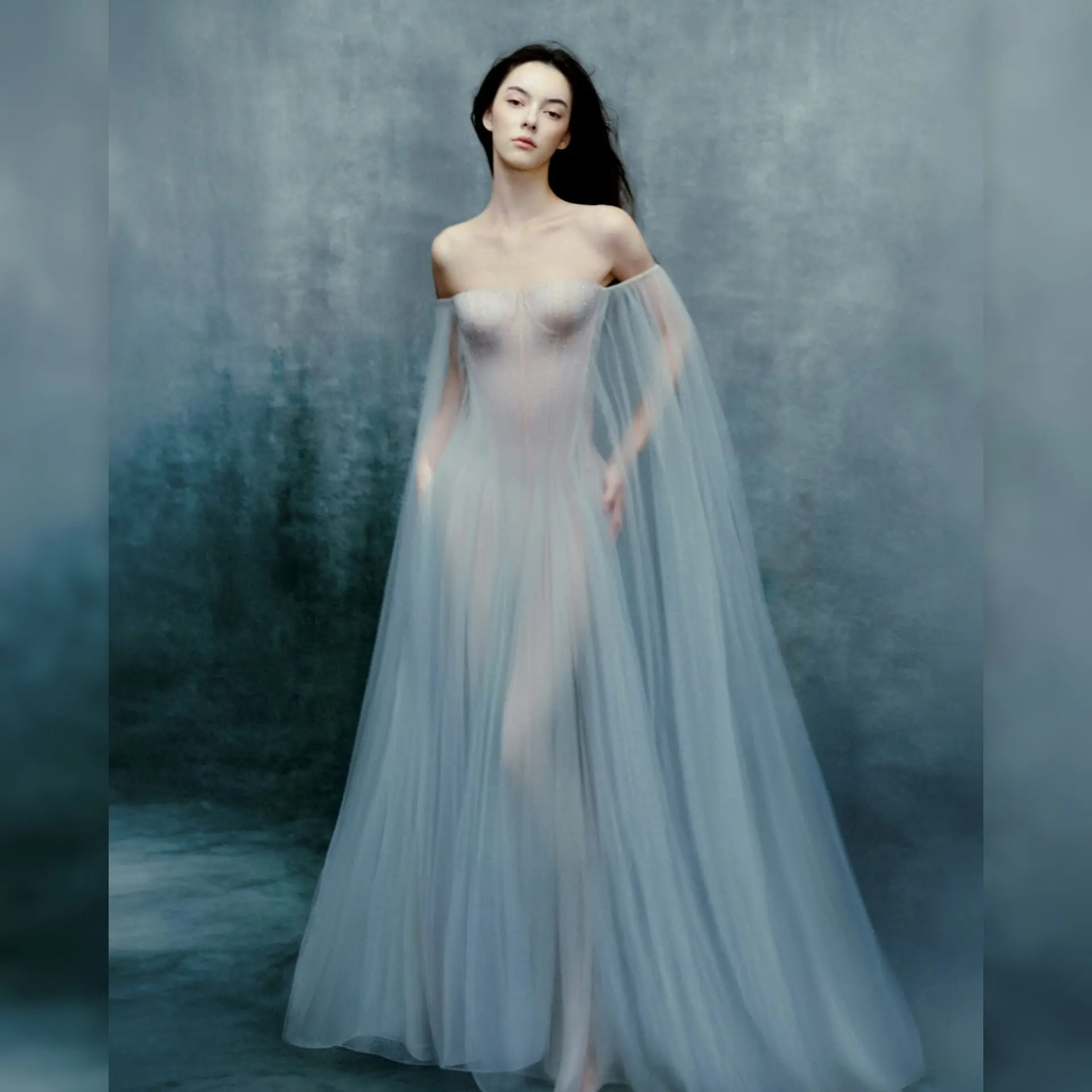 

Платье с открытыми плечами и длинными рукавами 2026 Fairy, светло-серо-голубое макси-платье для вечера, роскошное свадебное платье для красной дорожки из прозрачного тюля