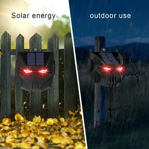 6 best sales solhund - №6