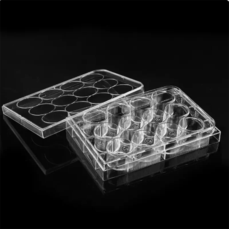 10Pcs 6/12/24/48/96 hole Flat Bottom Cell Culture Plate Bacterial Culture Plate Enzyme Label Plate