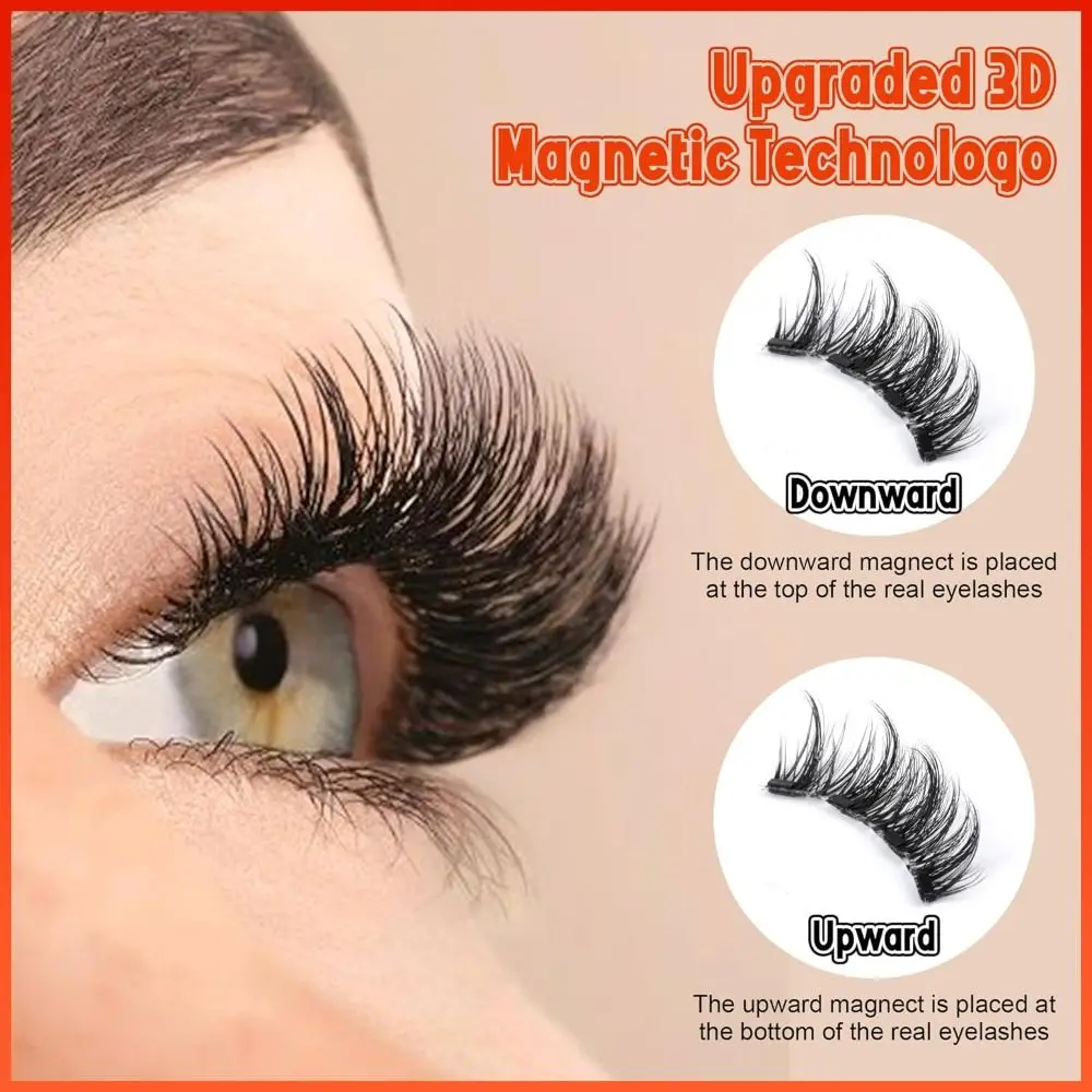 No Glue Magnetic Eyelashes Eyeliner Needed without Eyeliner Magnetic Lashes Reusable Look Like Extensions False Eyelashes