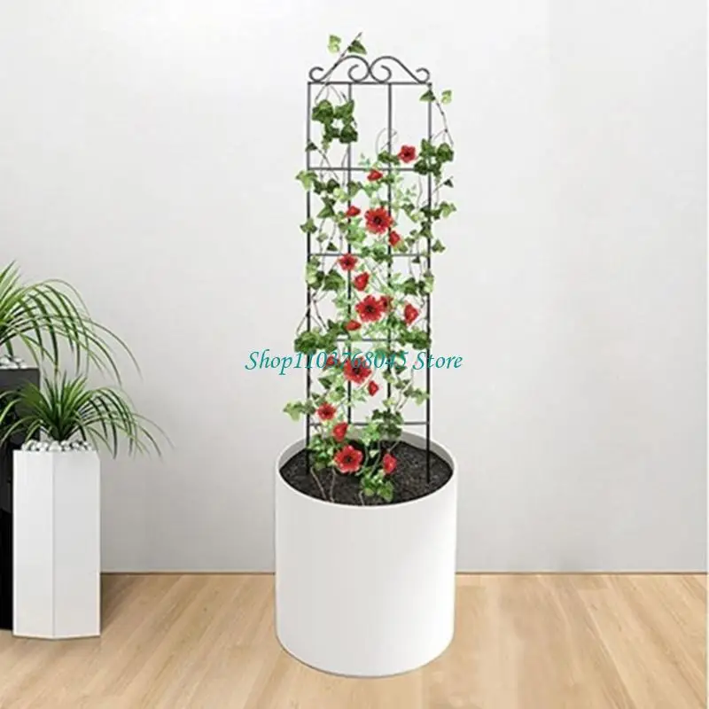 R53F Versatile Iron Stakes Compatible For Vegetable Cucumber Climbing Plant Support Trellis Garden Plant Stem Flower Bracket
