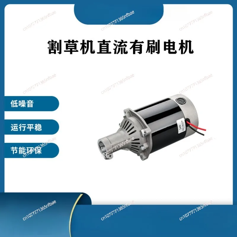 ZY9716-450W60V Permanent Magnet Brushed DC Motor, Lawn Mower Motor