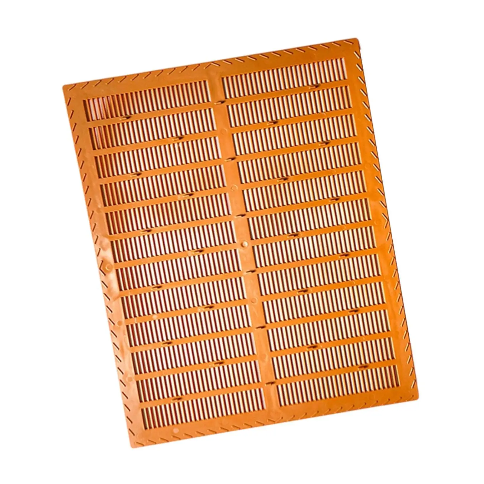 Collect Propolis Supplies Tool PP Material Honeycomb Board Accessory for Beekeeping Equipment and Bees Frames