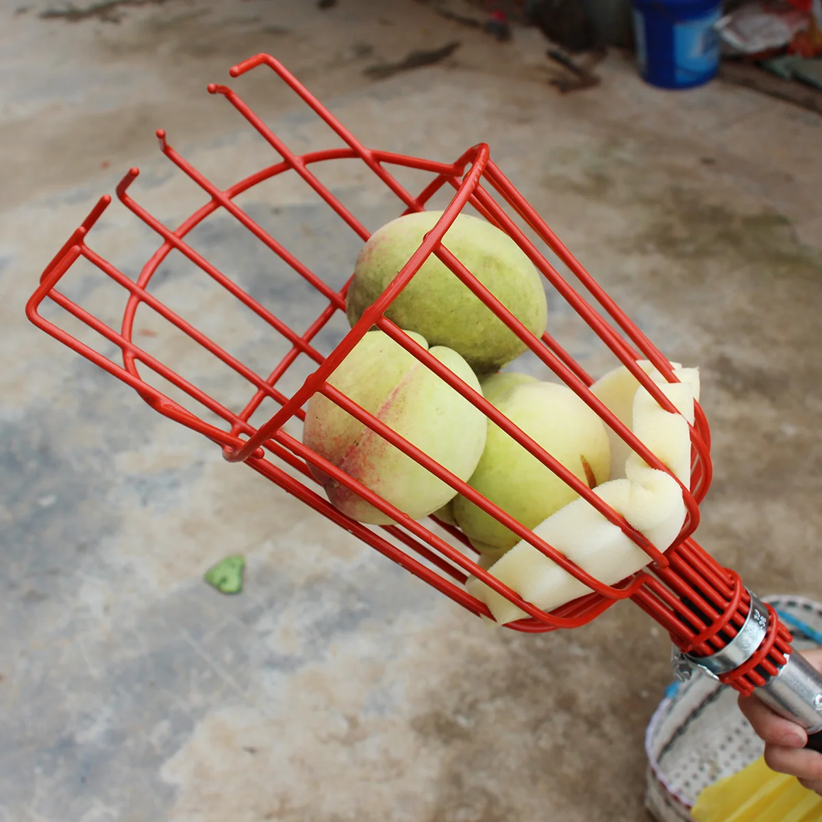 24ft New Fruit Picking Tools Telescopic Fruit Picker With Aluminum Telescopic Pole Garden Tool