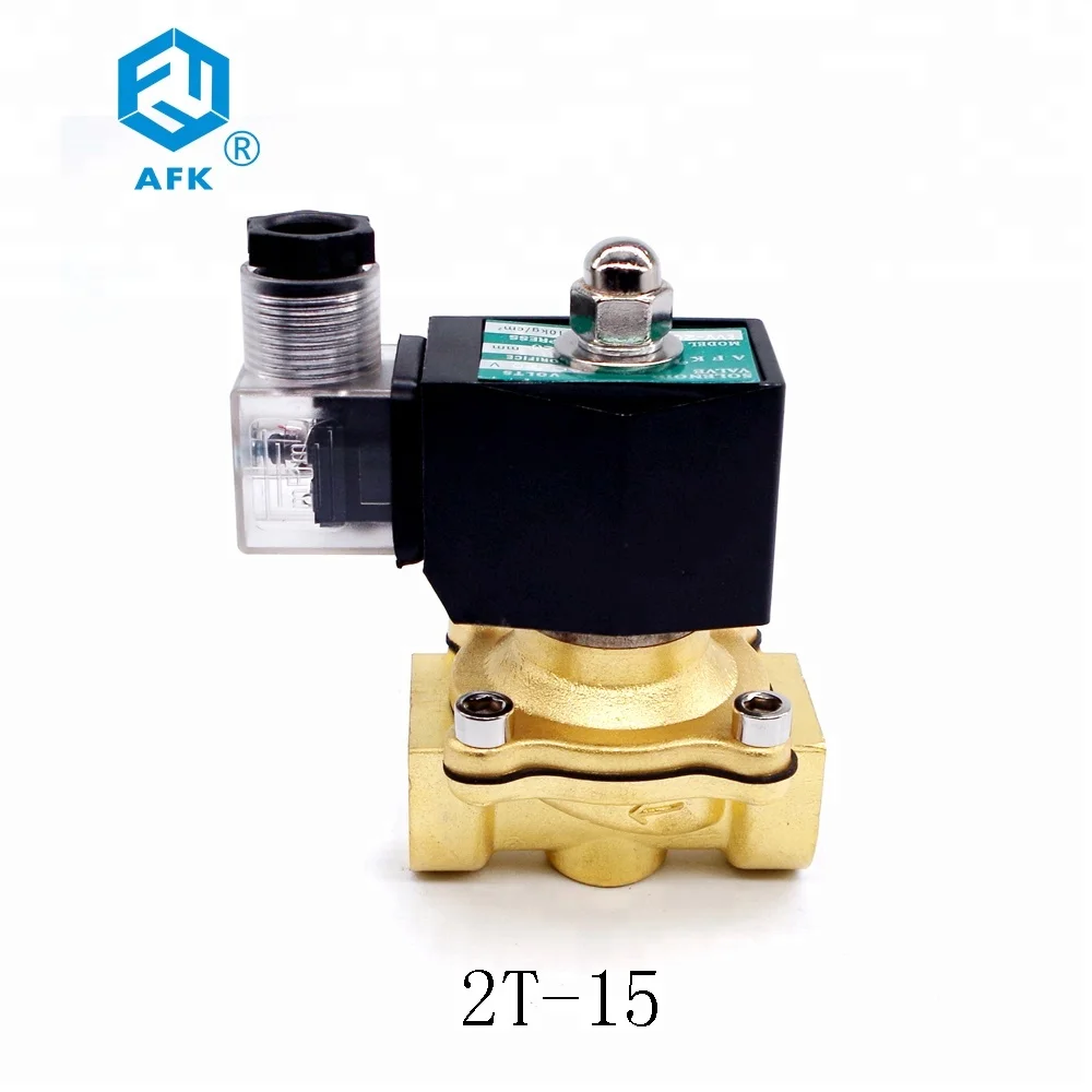 1/2 Inch Brass CO2 Nitrogen Gas Solenoid Valve DC 24V with Pilot Structure