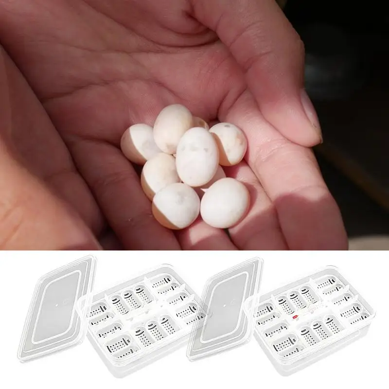 Reptile Hatching Box 16 Grids Transparent Reptile Egg Incubator Incubation Box Hatching Tray Hatching Case For Gecko Lizards