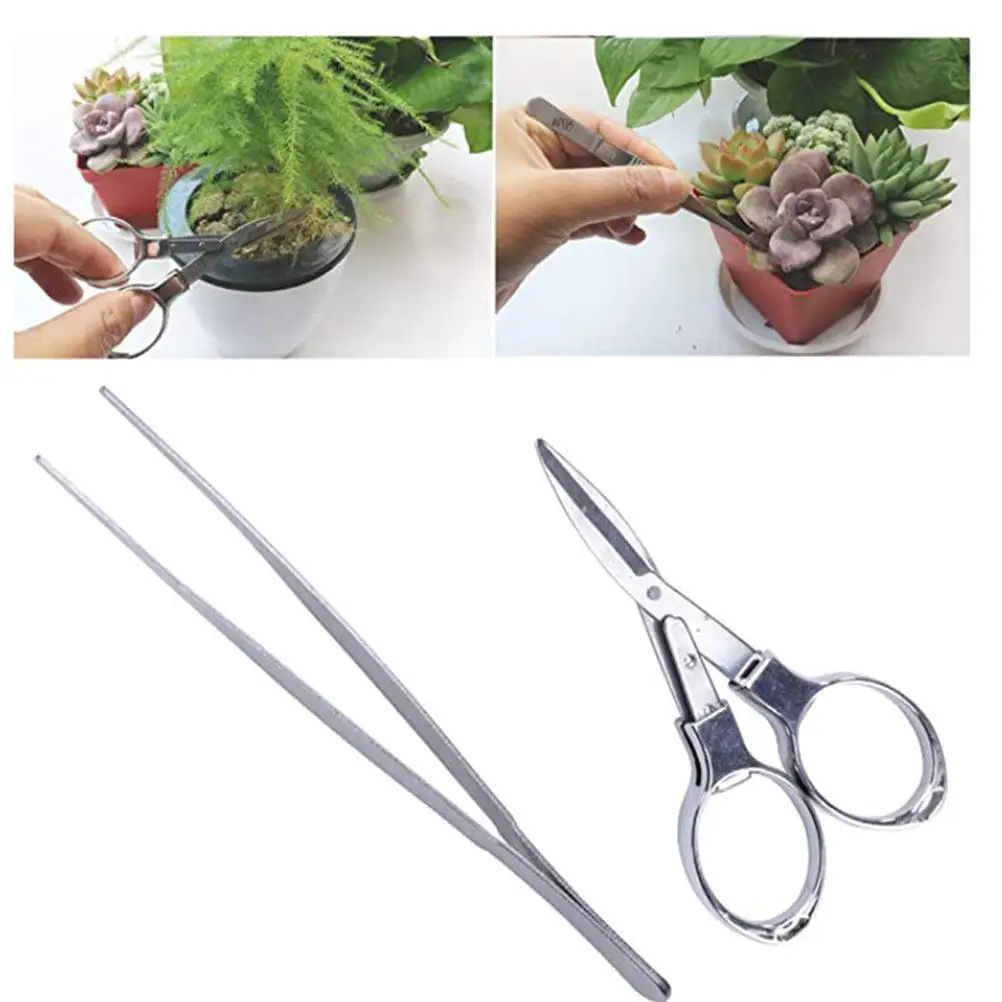 

Набор из 10 мини-садовых инструментов для бонсай, суккулентов и комнатных растений, с деревянными ручками, для посадки и пересадки растений