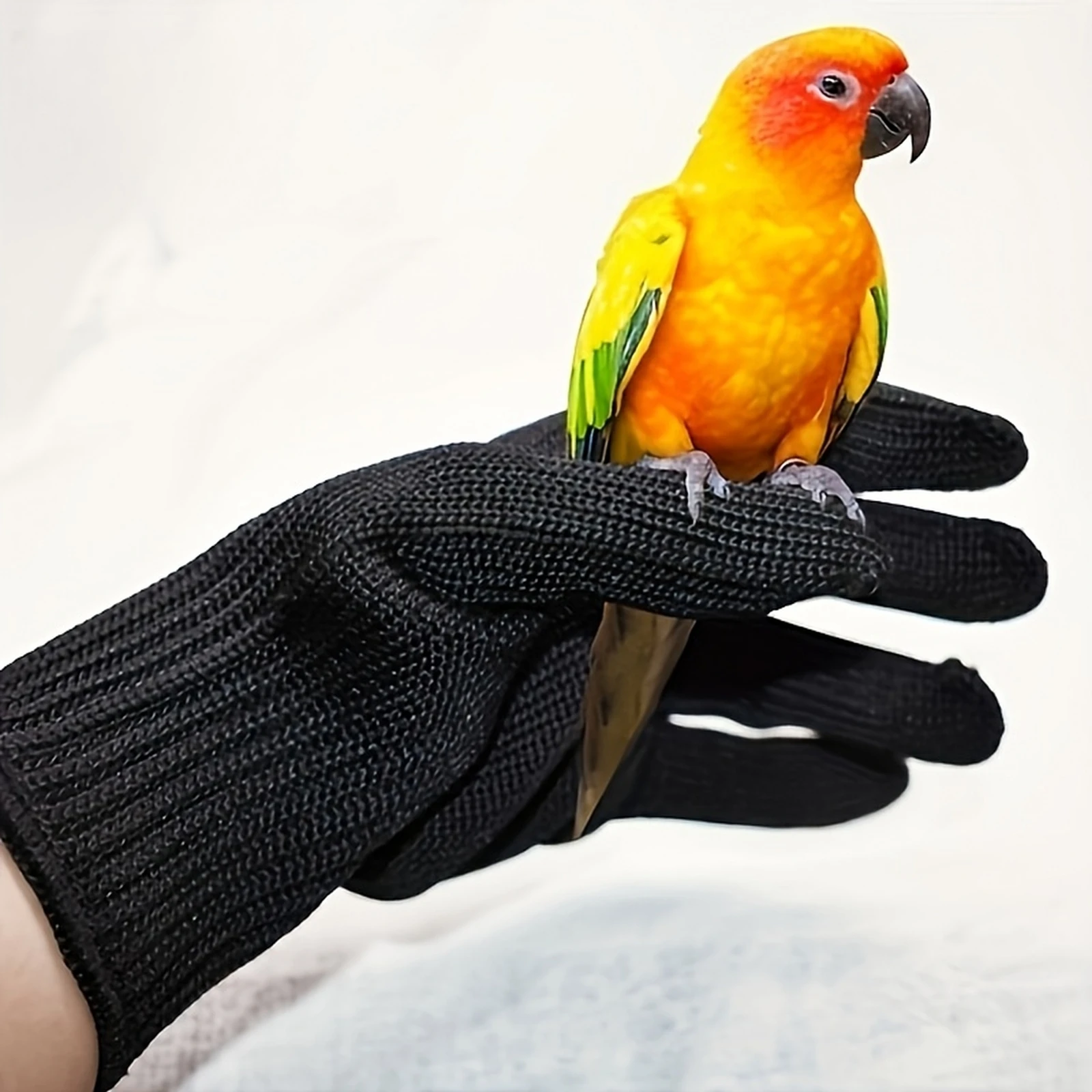 1/3/6 Pairs Bird Training Anti-bite Gloves Safety Gloves Multi-purpose Protective Gloves for Parrot Squirrels Hamster