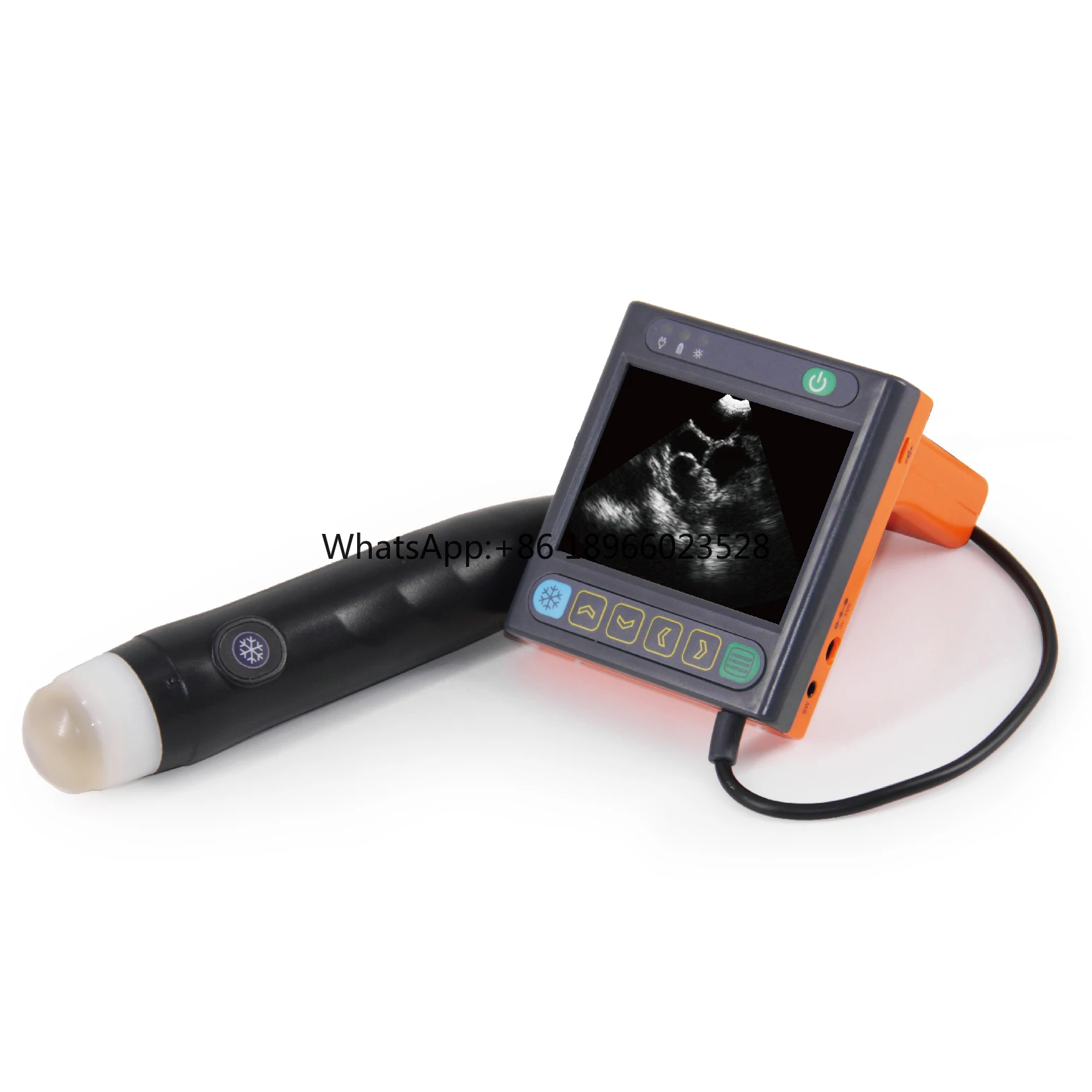 New Design Veterinary Medical Equipment Pig Sheep Livestock Ultrasound Scanner for Animals