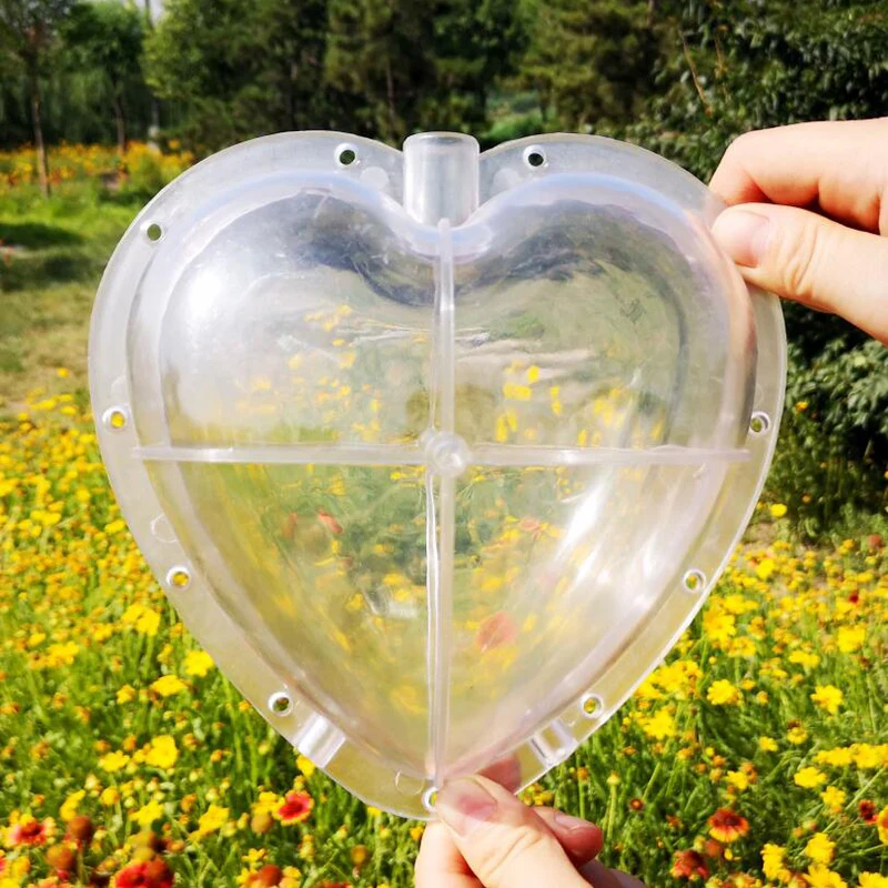 Square Heart Watermelon Mold Garden Fruit Growth Forming Shaping Mould Tool