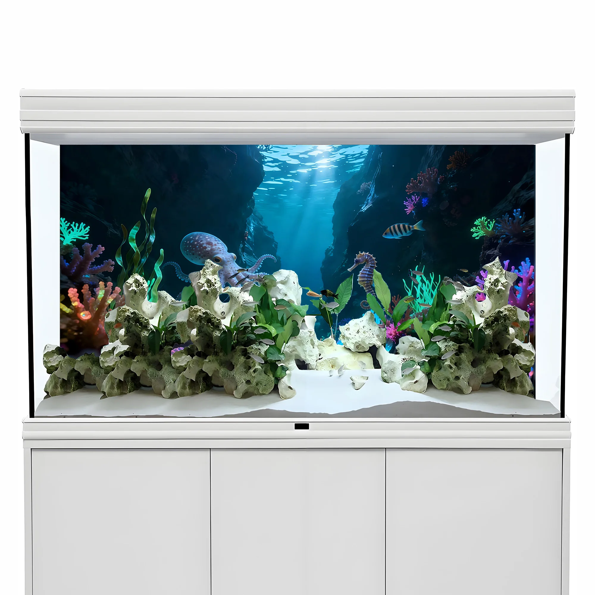 Octopus Canyon Paradise, achte - Aquarium Fish Paradise recensie en prijs