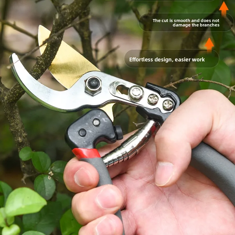 Stainless Steel Pruning Shears, Professional Garden Scissors Fruit Tree, Flower Trimming, Grafting, Landscape Plant Cutting