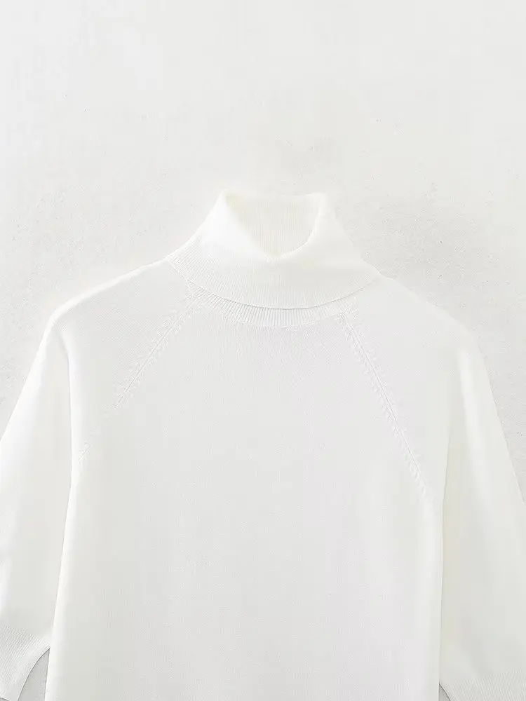 Withered Fashion Office Ladies Casual Solid Color Basic Knitted Tops Turtleneck Autumn And Winter Sweaters Women