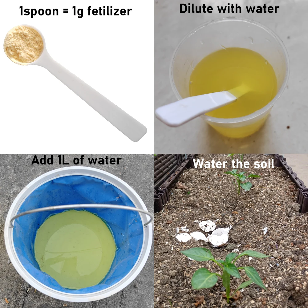 30 جرام Beauveria الأسمدة الميكروبية الأسمدة القابلة للذوبان في الماء بالكامل وكيل أغذية النباتات حماية النباتات لمزرعة الحديقة #3