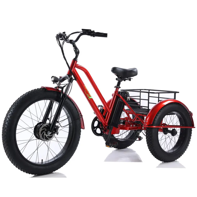 

Steel Motor Frame Power Battery Style Max Set Dutch 3 Wheel Coffee Bike Trailer Tricycle Electric Cargo Bike