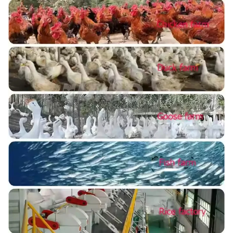 الأكثر شعبية الحبوب البذور الحيوان أغذية الدواجن خلط الغذاء القهوة مسحوق خلاط #5