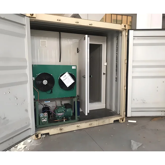 Contenitore Camminata nella stanza di stoccaggio freddo Frigorifero Congelatore Commerciale ad energia solare con pannello