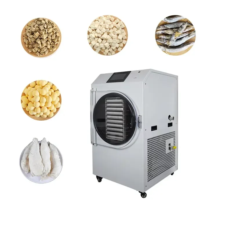 for Commercial Food Freeze Dryer 10 Trays 12-16kg Capacity Home Fruit Meat Dehydrator Machine Beef Cod Lyophilizer CE