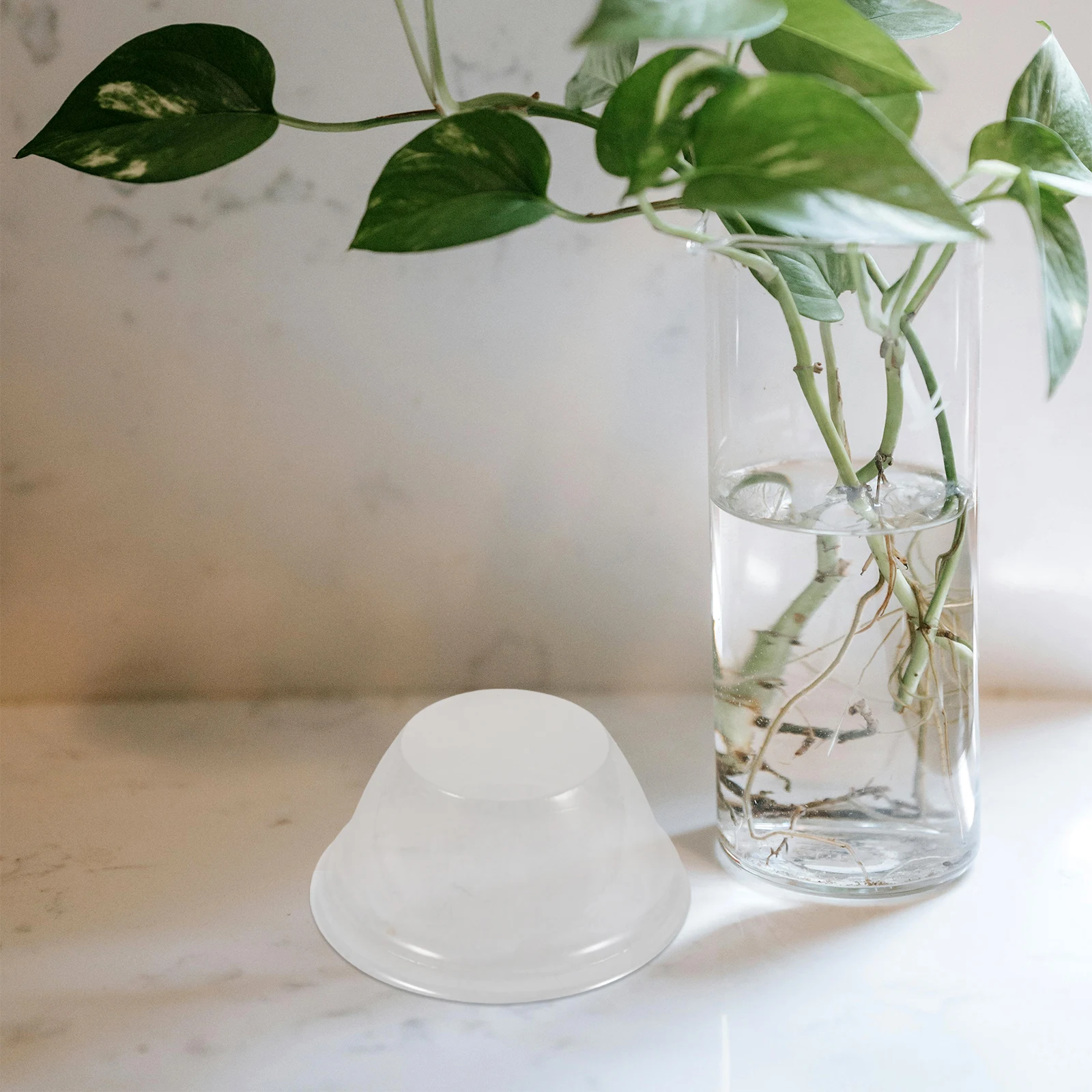 

100pcs Transparent Plant Domes For Hydroponic Gardens Easy Install Thermal Insulation Humidity Control Garden Cloche Dome