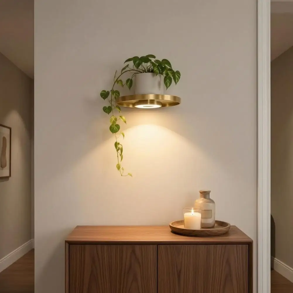 Pineapple Display Magnetic Levitating Plant Pot with Led Light Floating Rotating Air Plant Holder Usb Powered Desktop Succulent