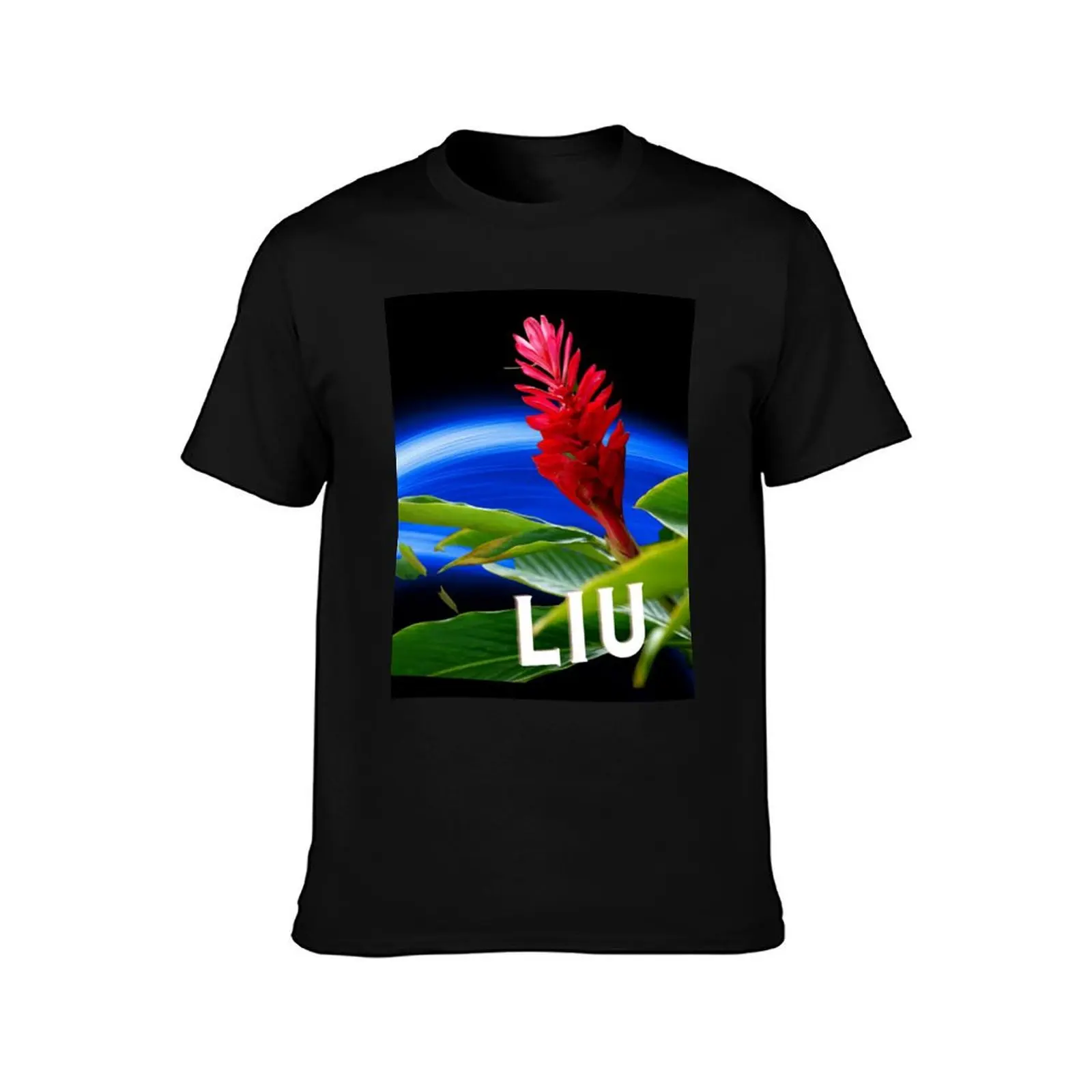 Liu (Male or female name) famous Samoan Polynesian name Pago Pago American Samoa T-Shirt Thanksgiving Casual Tee T-Shirt