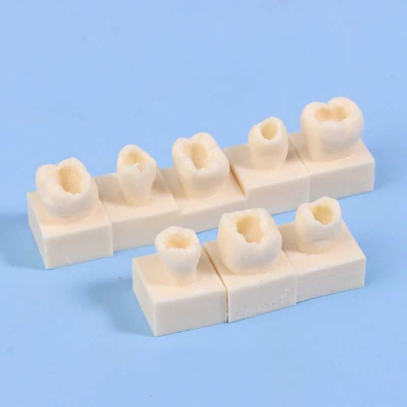 

✰✪8pcs/Kit Dental Posterior Student Training Test Model Practice Composite Resin Filling Teeth Jaw Dentistry Equipment
