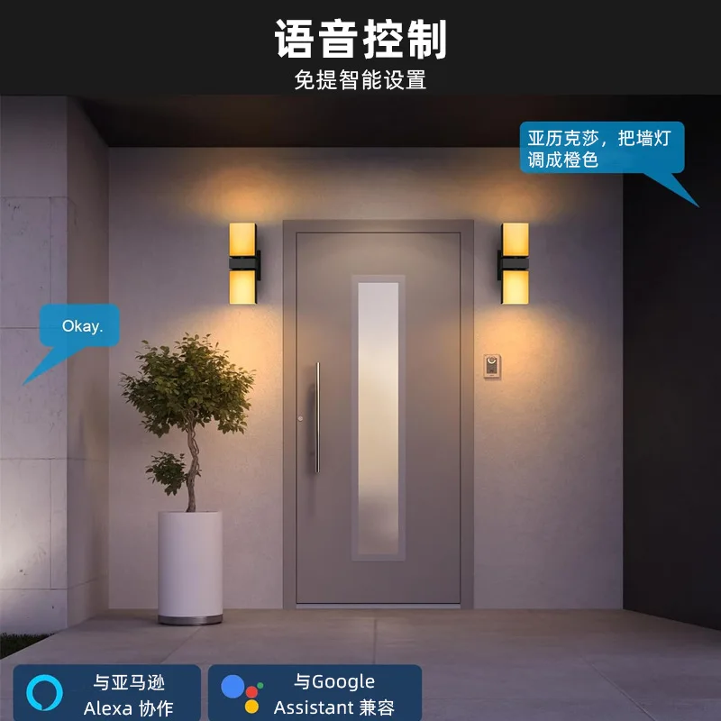 Double Head Outdoor Wall Light Outdoor LED Wall Light APP Adjustment Intelligent Exterior Wall Light Waterproof