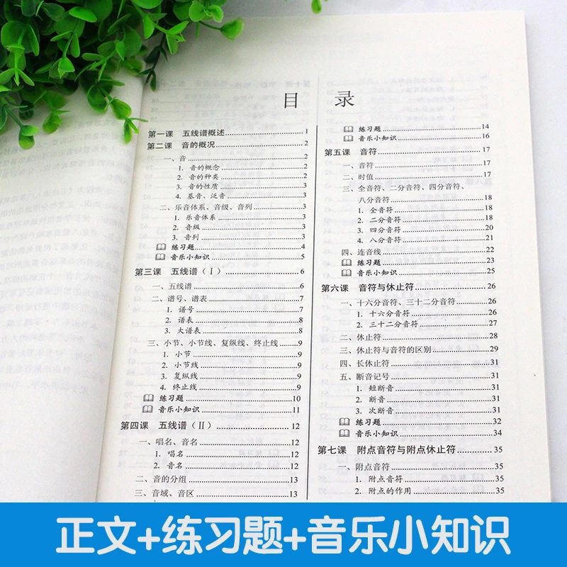 2 livros simples notação básico tutorial stave introdutório teoria da música conhecimento