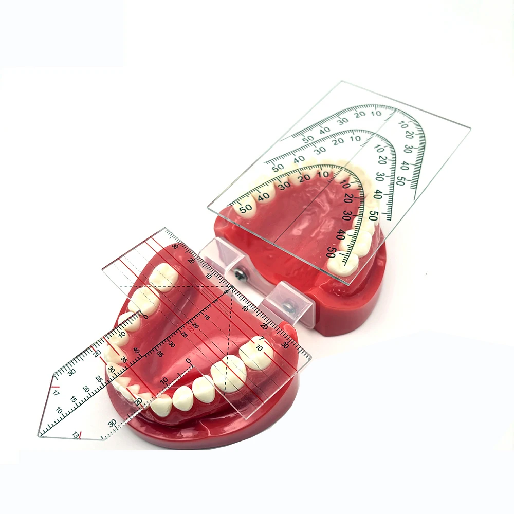 Dental Lab Guide Plate Teeth Arrangement on Denture Work Dental Teeth Guide Plate Ruler Denture Drawing And Alignment