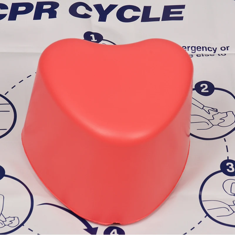 أداة تعليمية صغيرة للإسعافات الأولية على شكل قلب، دمية طبية للجسم Cpr، نموذج مانيكين للتمريض، نموذج تدريب