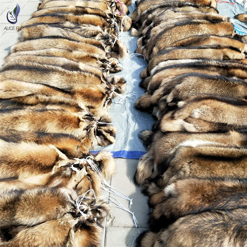 Wholesale Factory Supply Real Raccoon Rur Skin Natural Raccoon Fur Pelt For Garment