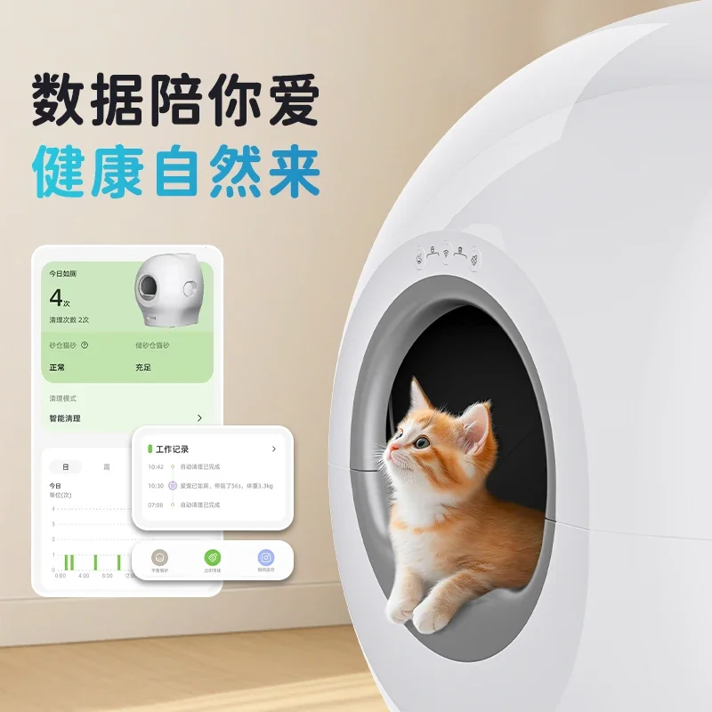 Pet smart cat litter box