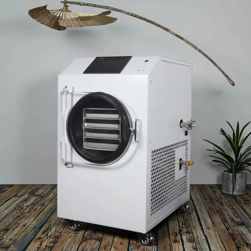 Thuisgebruik Kleine Lyofilisator Melkpoeder Snoep Vriesdroogmachine Gedehydrateerde Groenten Fruit 4Kg 6Kg Vriesdroger te koop