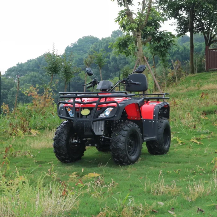 300CC ATV الكبار دراجة رباعية القرص الفرامل الهيدروليكية للترفيه