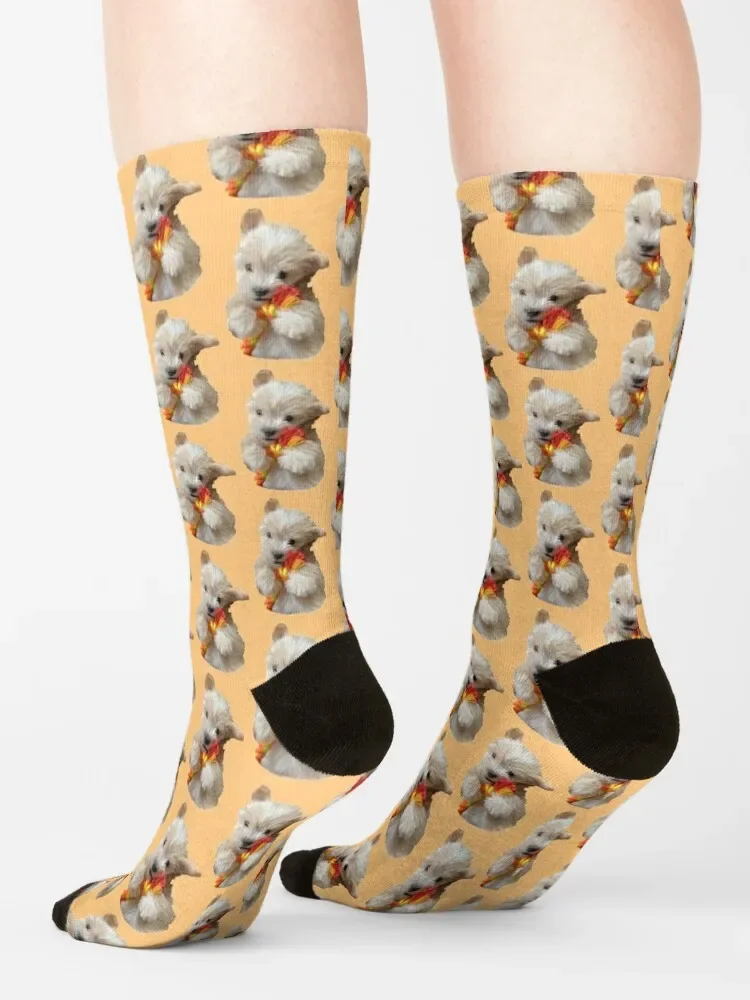 Süße Maltipoo Welpen socken Weihnachten Argentinien Socken weibliche Männer