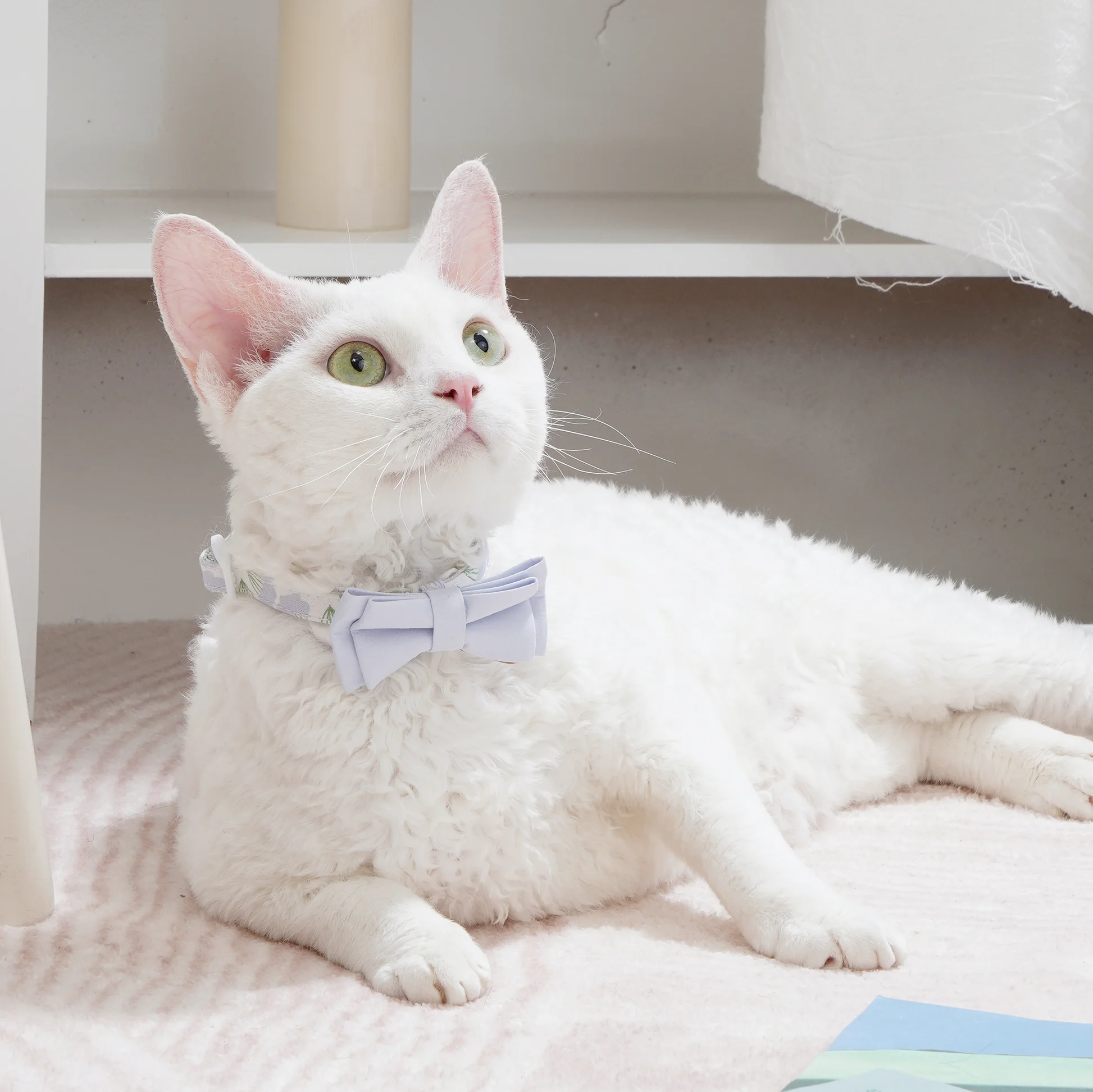 Cat Bow Safety Tie Collar Neck Collar Puppet British Short Hair Bow Anti-lost Cat Collar Multiple Colors Cute Collor