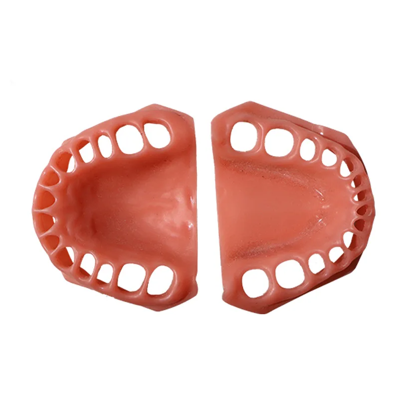 1set 28 Teeth Soft Silicone Gingiva for Dental Training Model Reusable Simulation Gum for Dentist Students Practice Oral Model