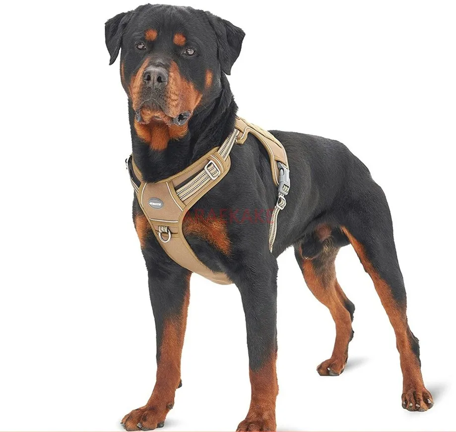 1PCS Dog Chest Back Medium Large Dog Tactical Training Pet Chest Strap Pet Reflective Dog Strap Dog Rope