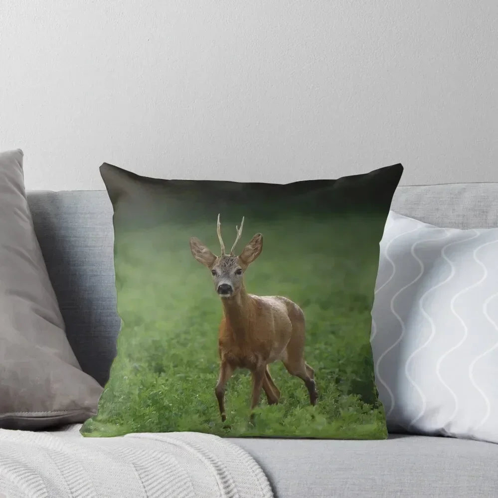 

Roebuck Throw Pillow Cushions For Children Pillowcases Cushion Covers Sofa luxury decor Cushion Cover For Sofa pillow