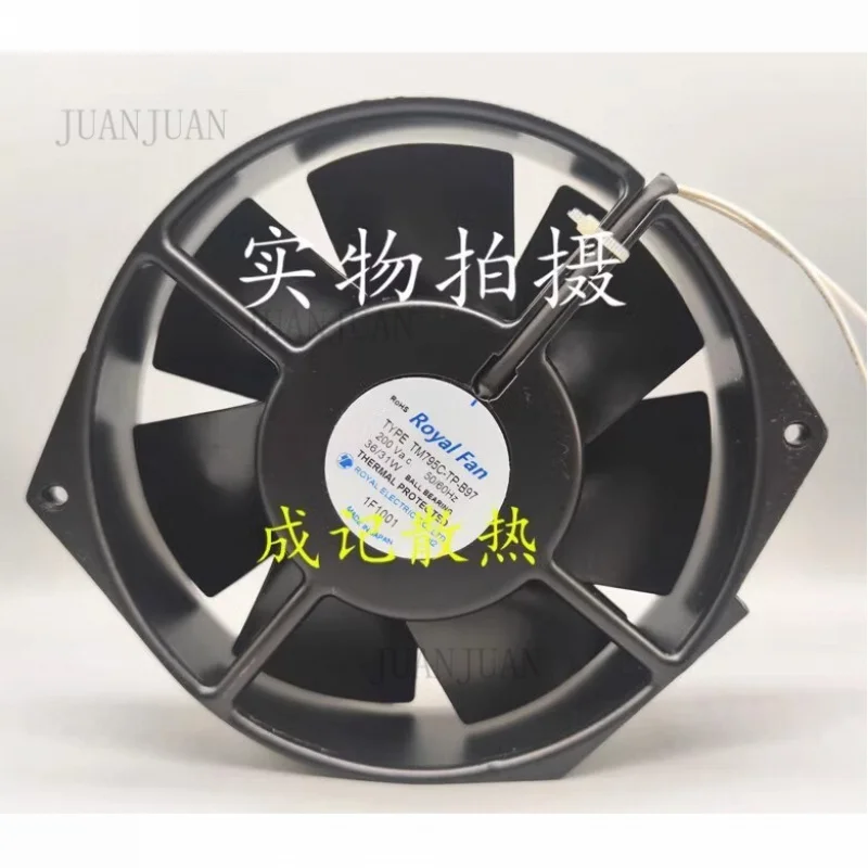 A+ For Royal Fan TM… - image