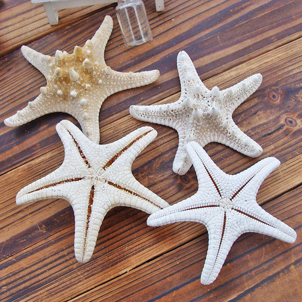 2 Pcs Decor Party Ocean Theme Craft Steamed Bun Sea Star Ornaments Natural Themed