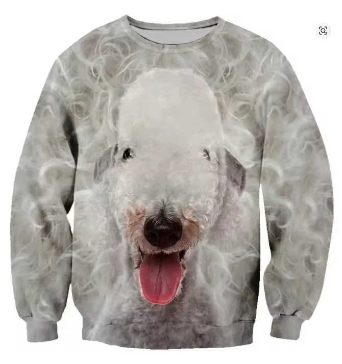 Cat Dog House 3D Print Hoodie Men Kids Oversized Long Sleeved Sweatshirt Sportswear Spring Autumn Fashion Round Neck Pullovers