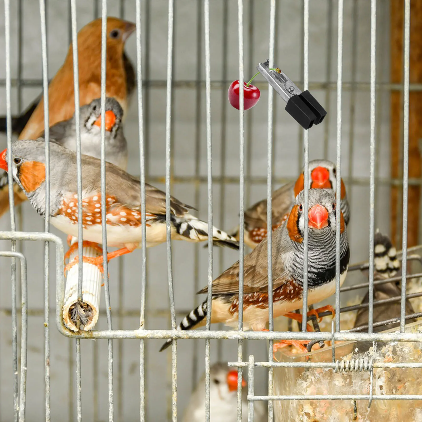 

20Pcs Pet Bird Cage Clips Rust Resistant Metal Door Lock for Parrot Cage Safety Clamp Accessories Safety Clip Iron Clip