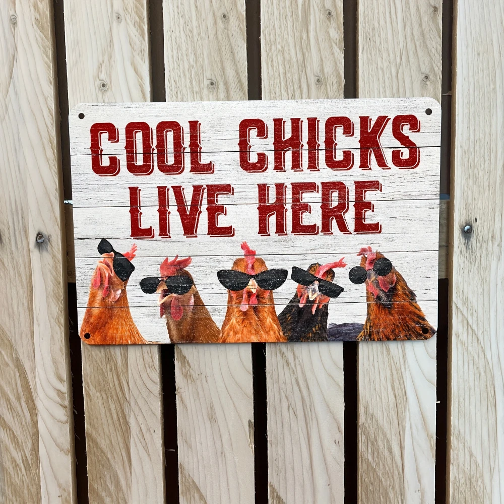 Chicken Coop Signs Cool Chickens Live Here Chicken Coop Sign 1pc 30x20cm Metal Cool Chickens Live Here Information Sign