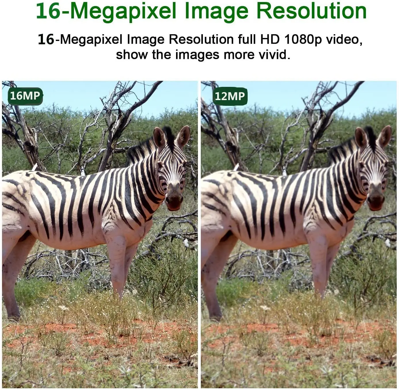 Bestok Trail Game Camera 16MP 1080P مقاوم للماء كاميرا الصيد الكشافة الحركة المنشط لمراقبة الحياة البرية #4