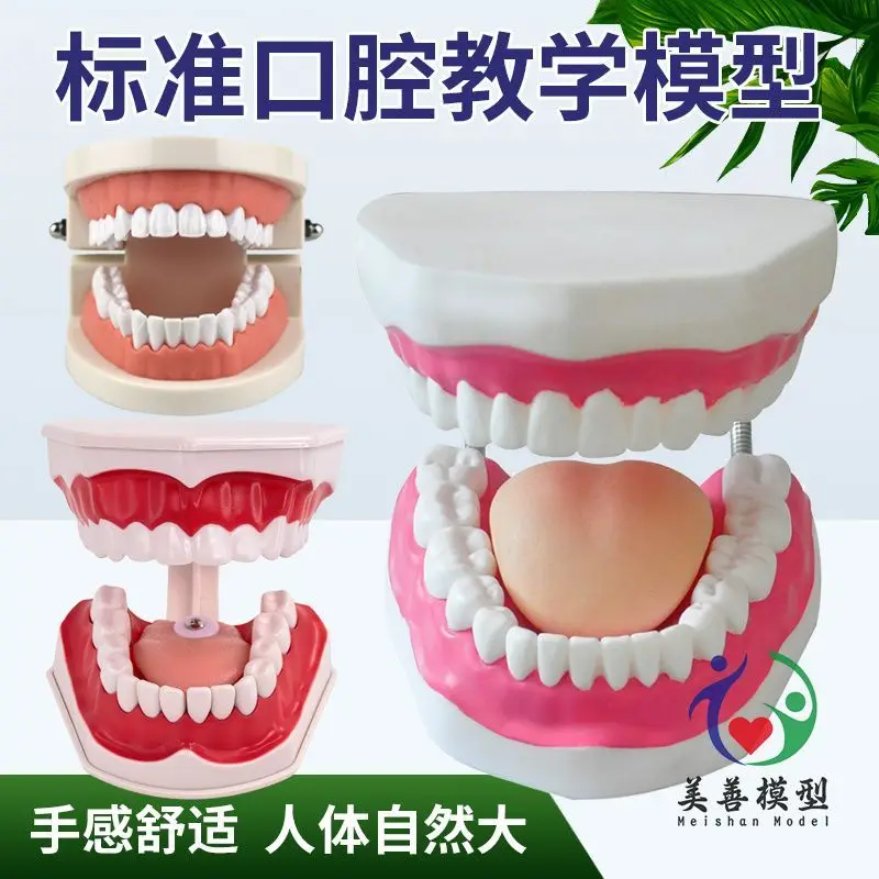 Advanced 6X Large-S…